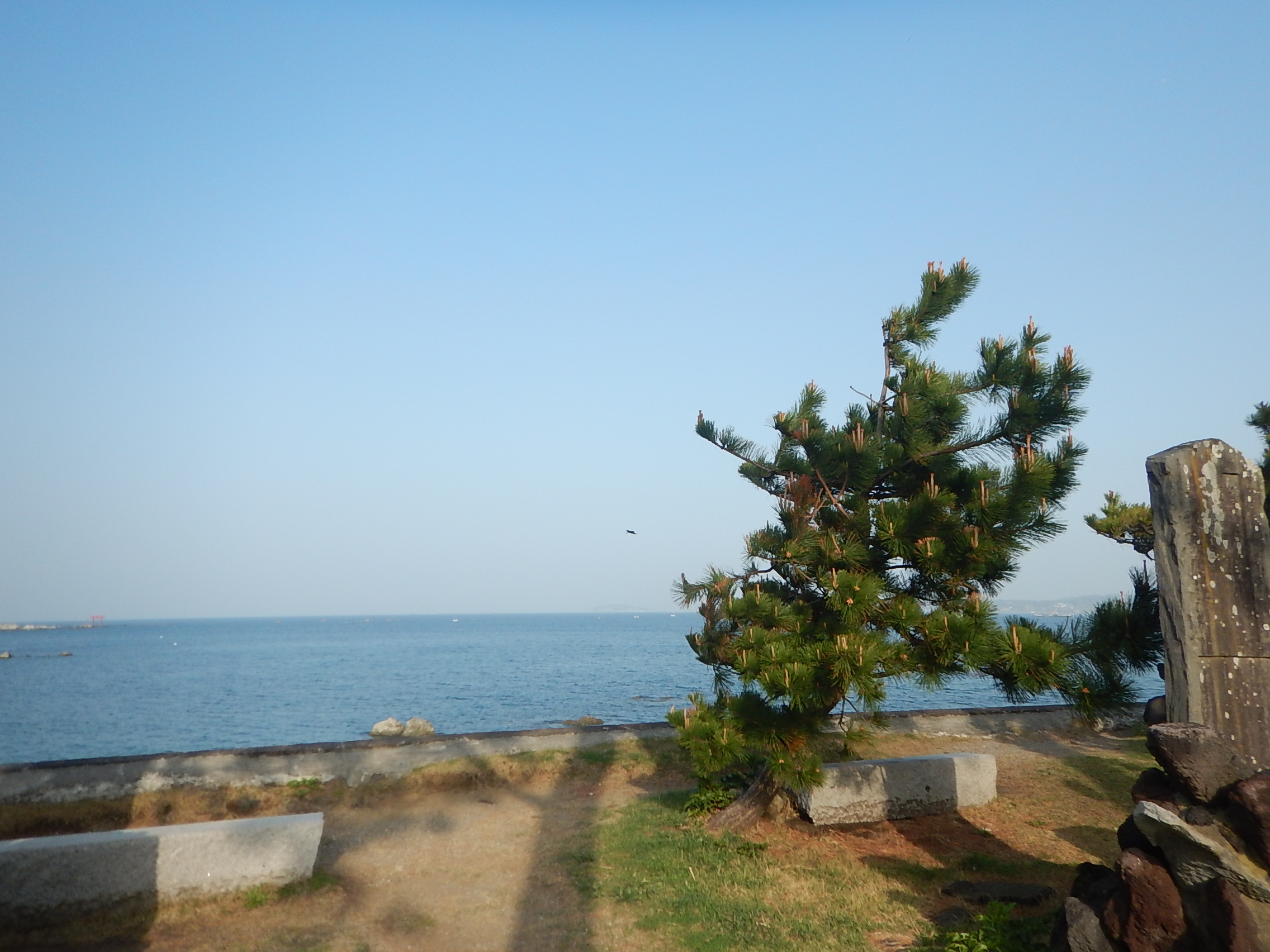 ３月３１日 朝の森戸海岸