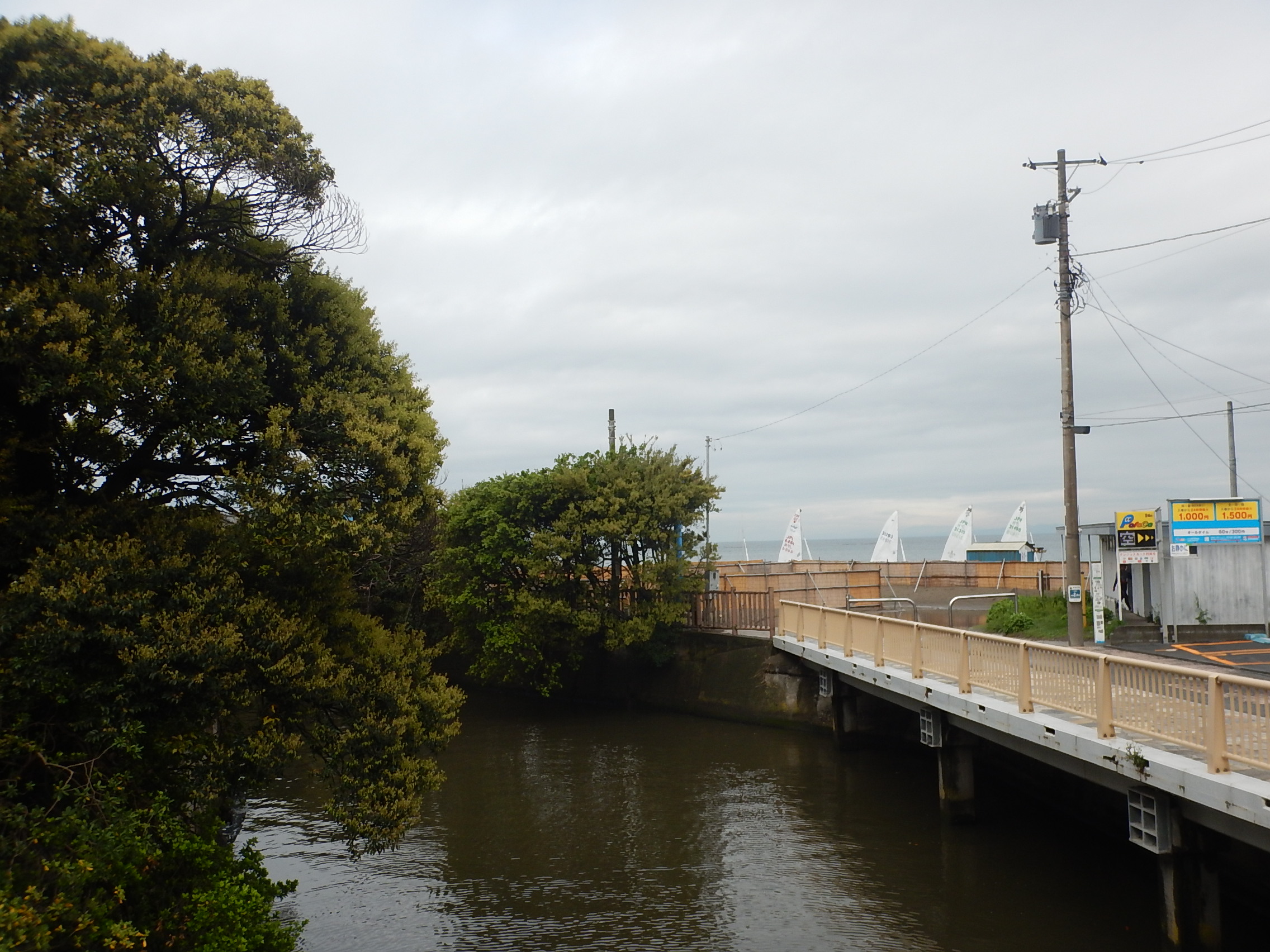 4月5日 朝の森戸海岸