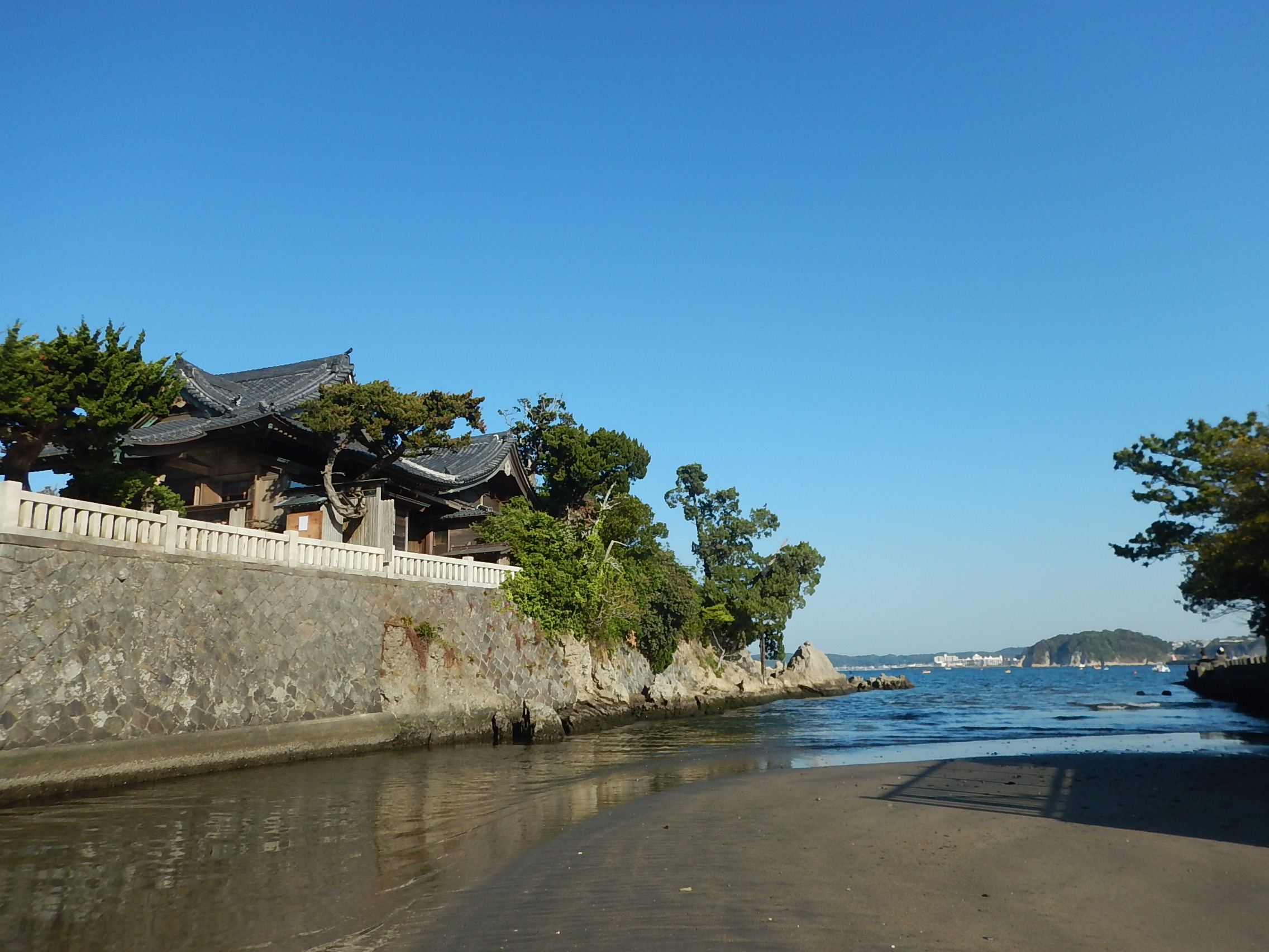 4月11日 朝の森戸海岸