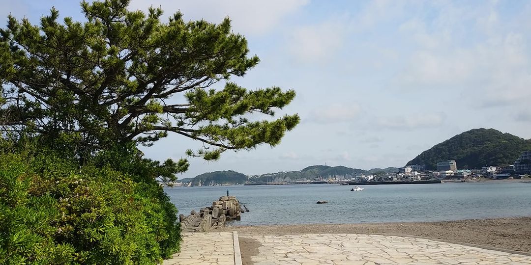 5月14日 朝の森戸海岸