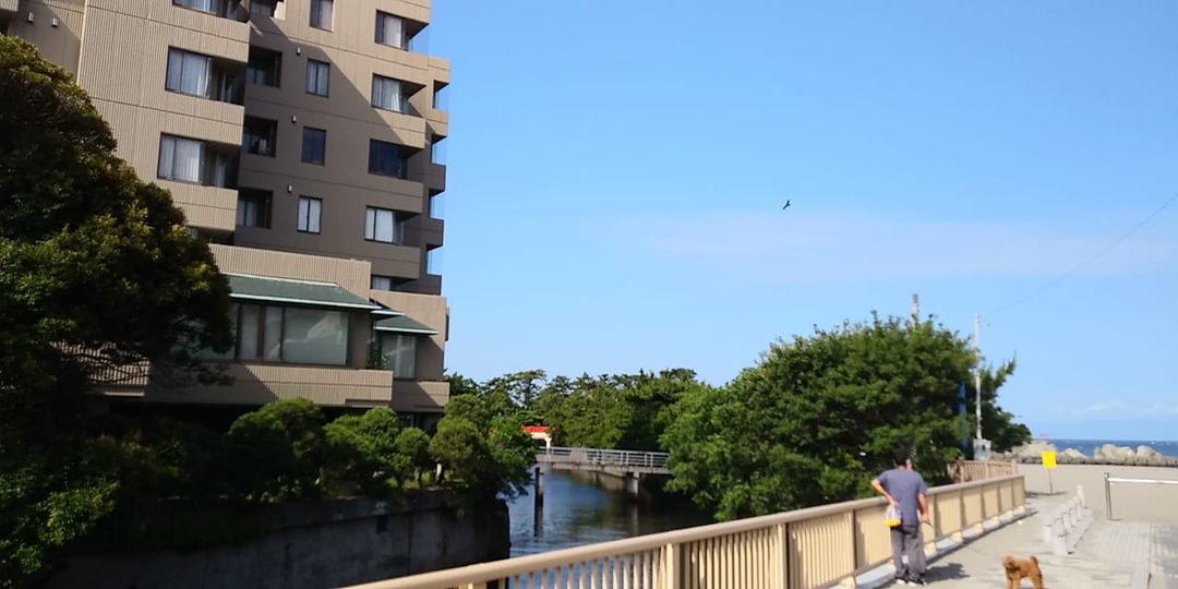 5月31日 朝の森戸海岸