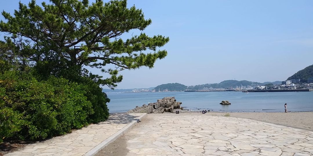 6月8日 朝の森戸海岸