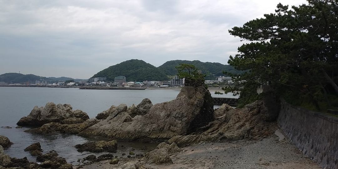 6月7日 朝の森戸海岸