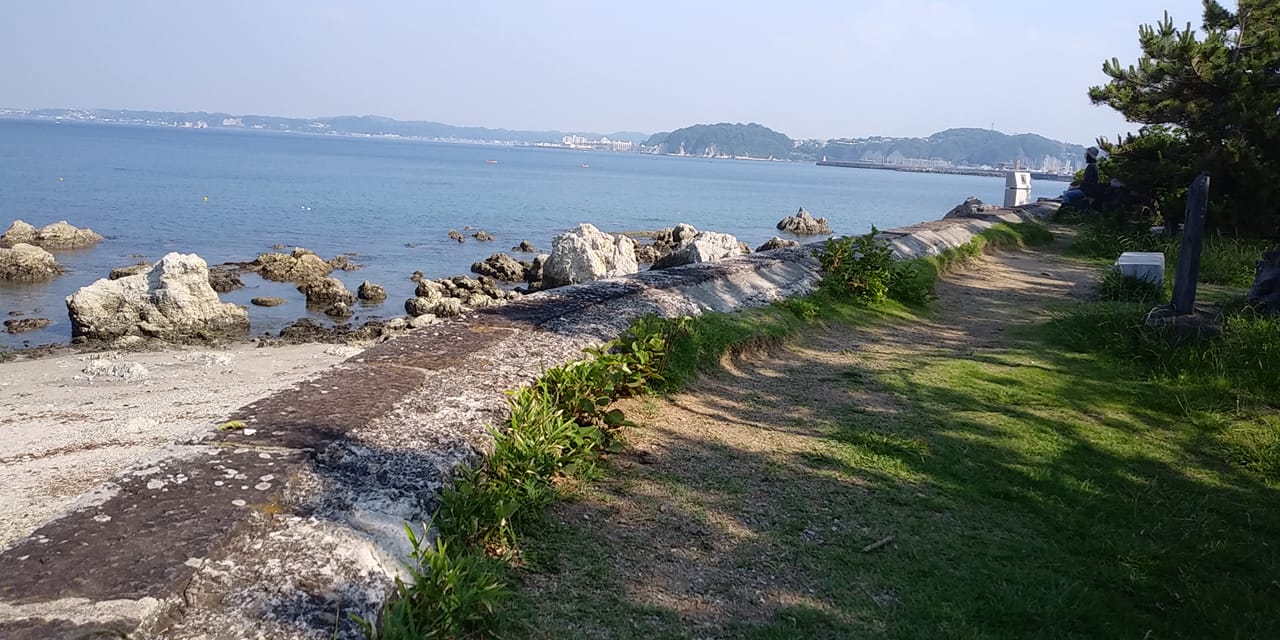 6月10日 朝の森戸海岸