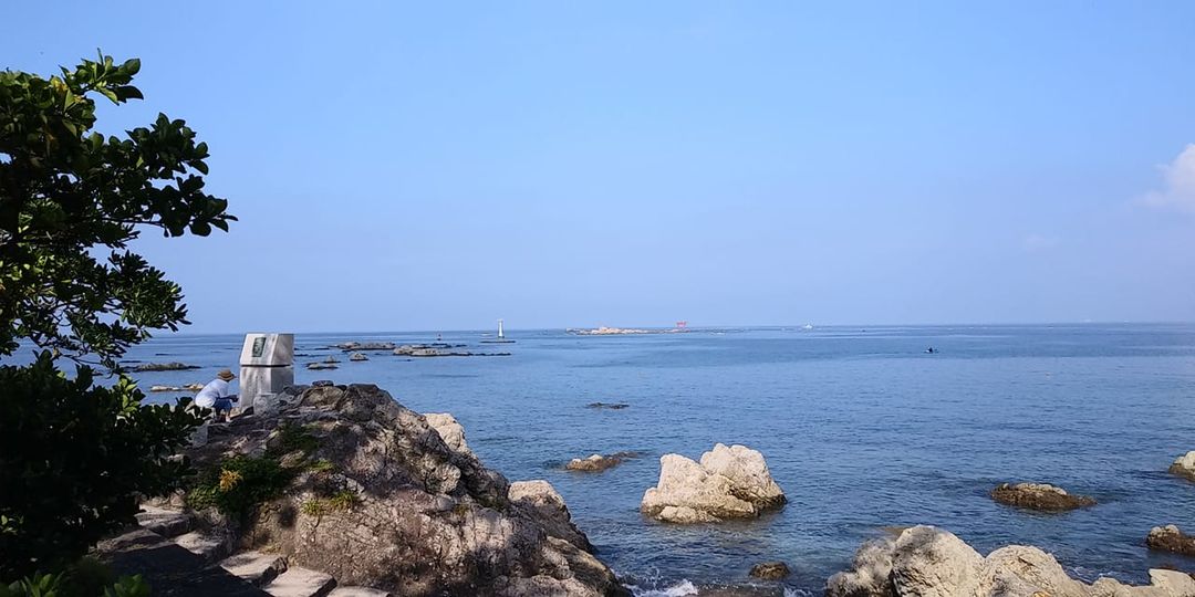 6月15日 朝の森戸海岸