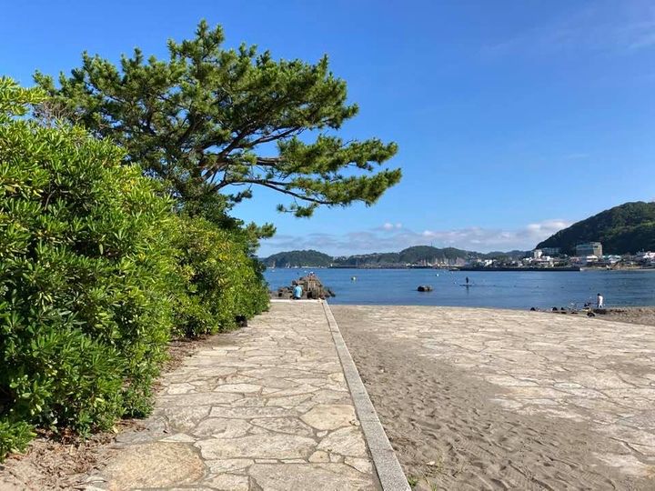 7月18日 朝の森戸海岸