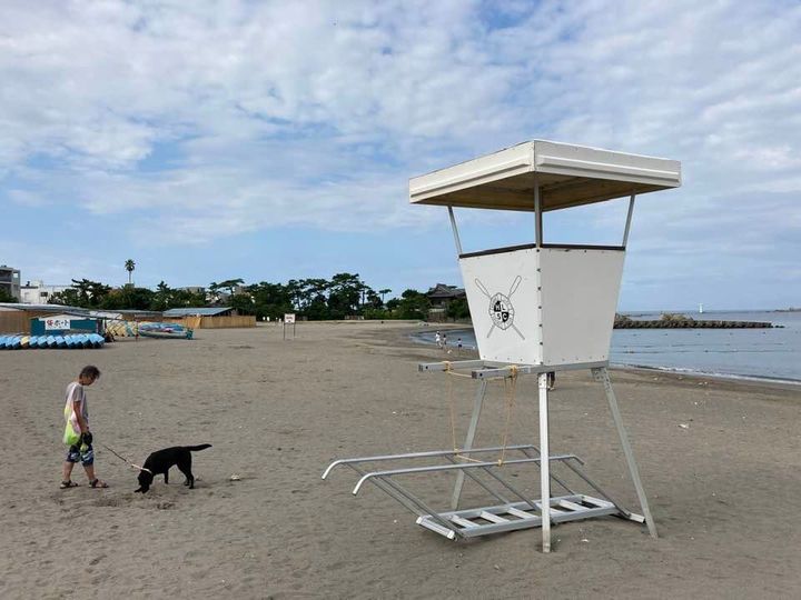 7月30日 朝の森戸海岸