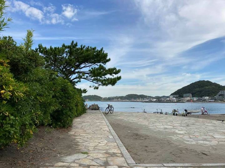 8月11日 朝の森戸河岸