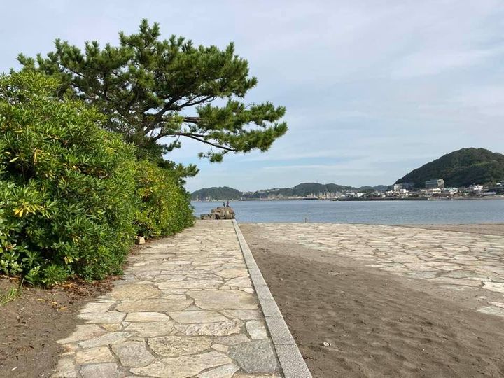 9月8日 朝の森戸海岸