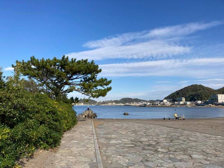 11月14日 朝の森戸海岸