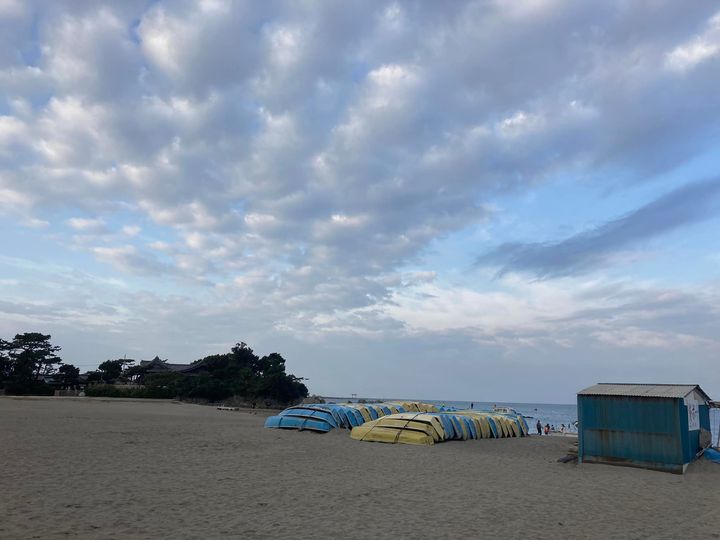 11月21日 朝の森戸海岸