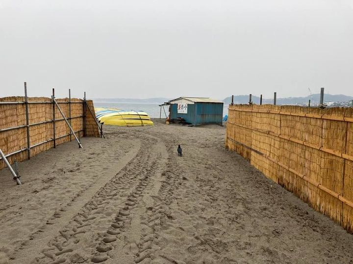 2月14日 朝の森戸海岸