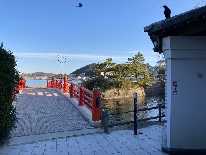 3月7日 森戸海岸の状況