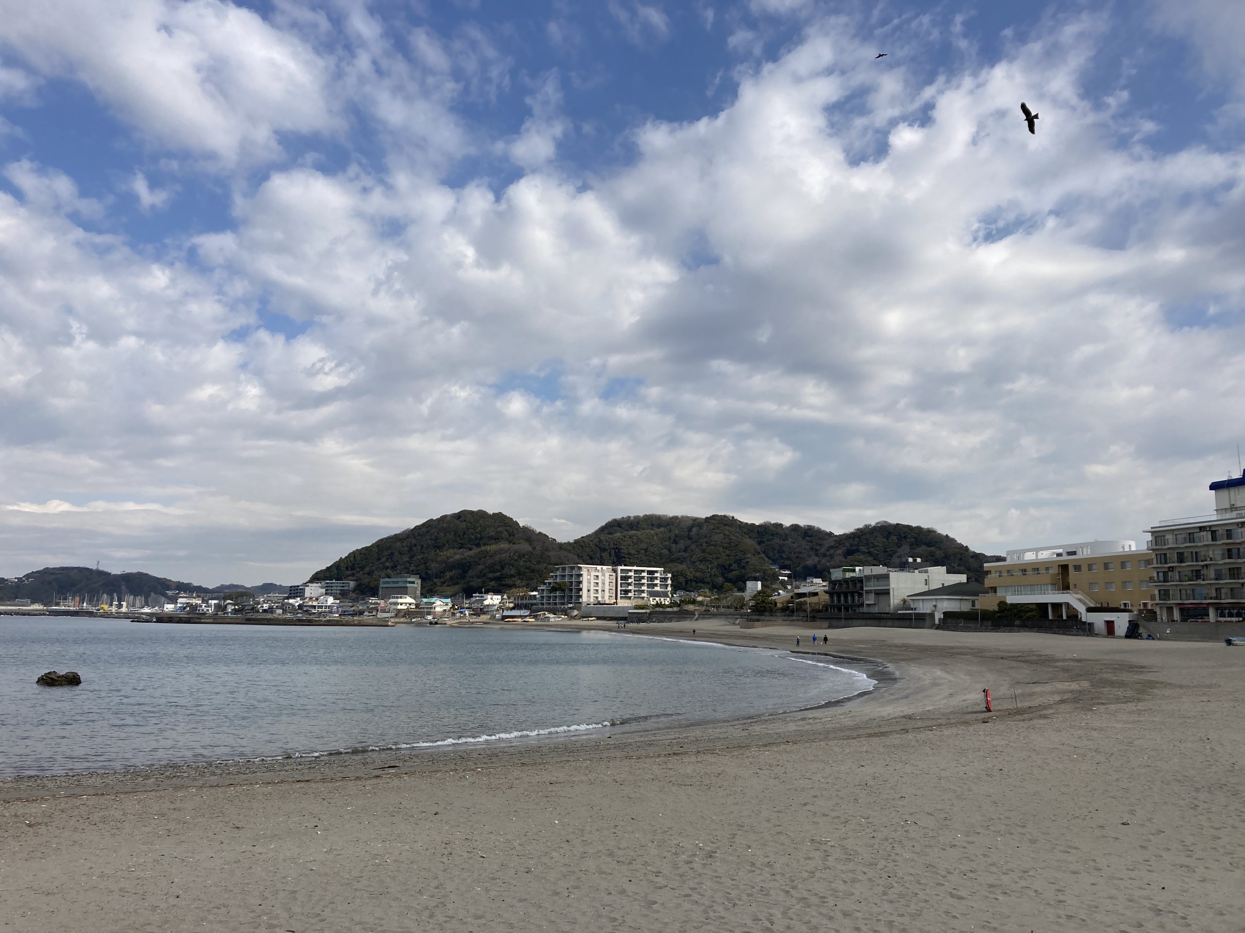 3月2日 森戸海岸の状況