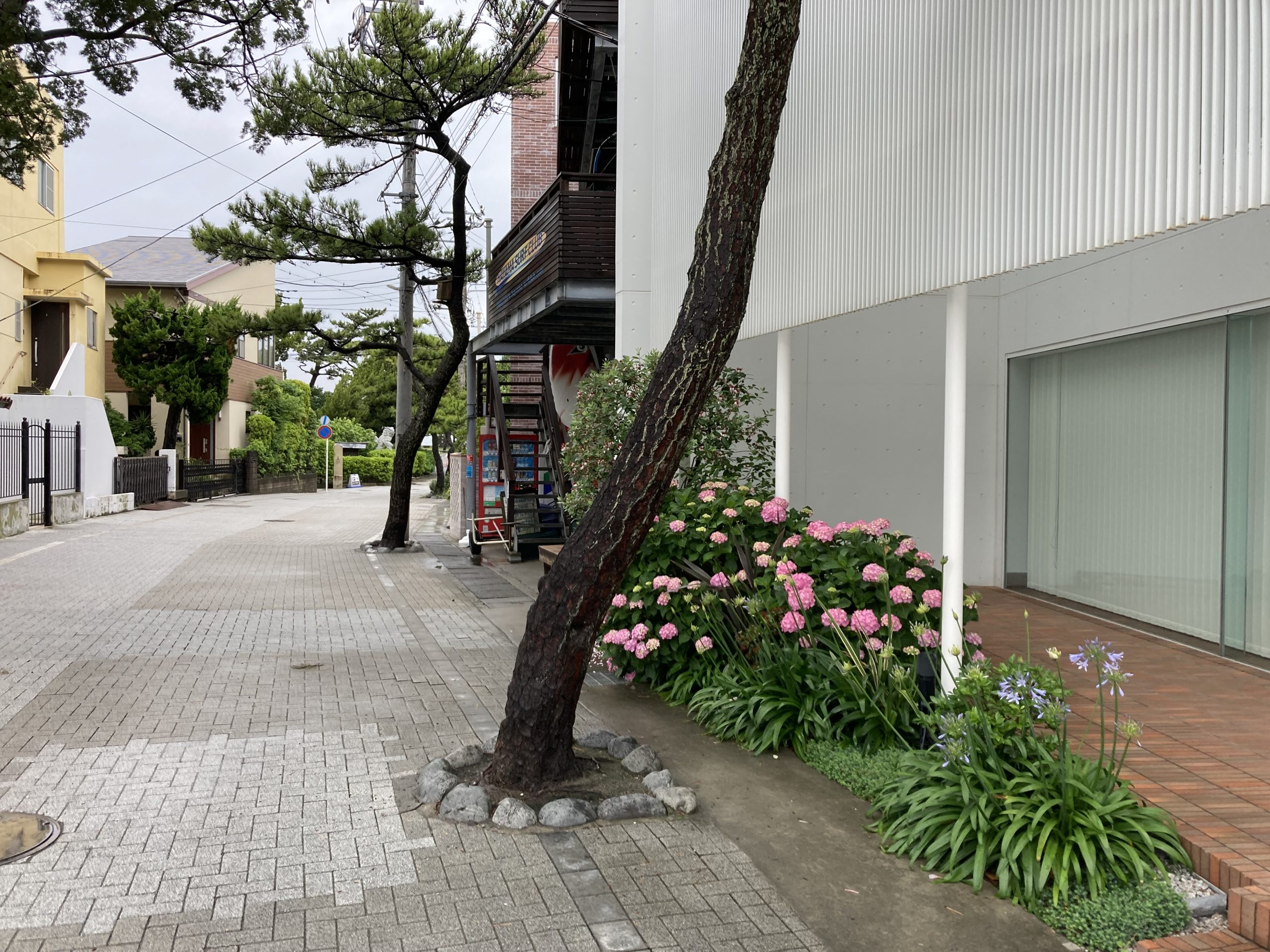 朝の森戸海岸