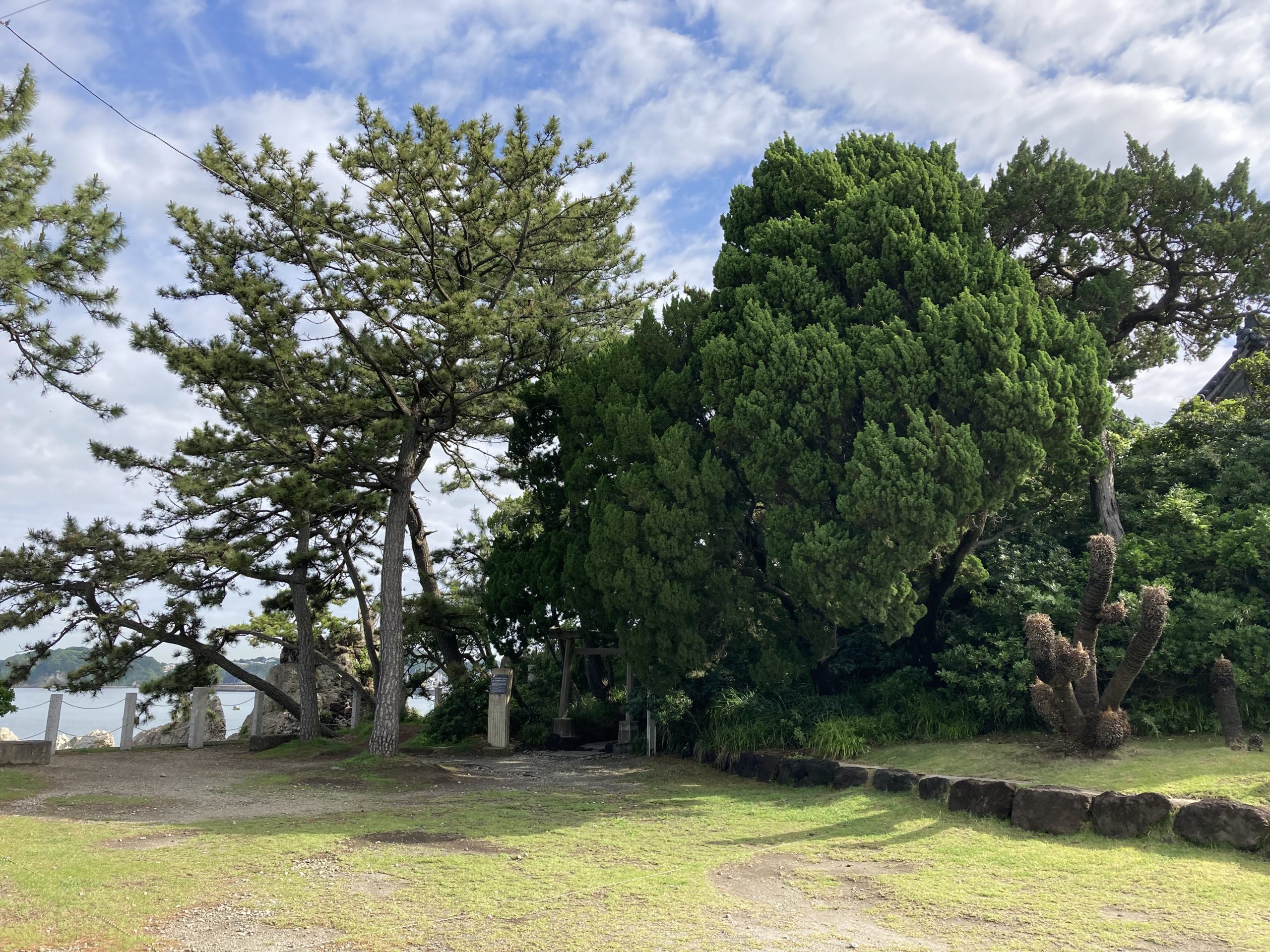 朝の森戸海岸