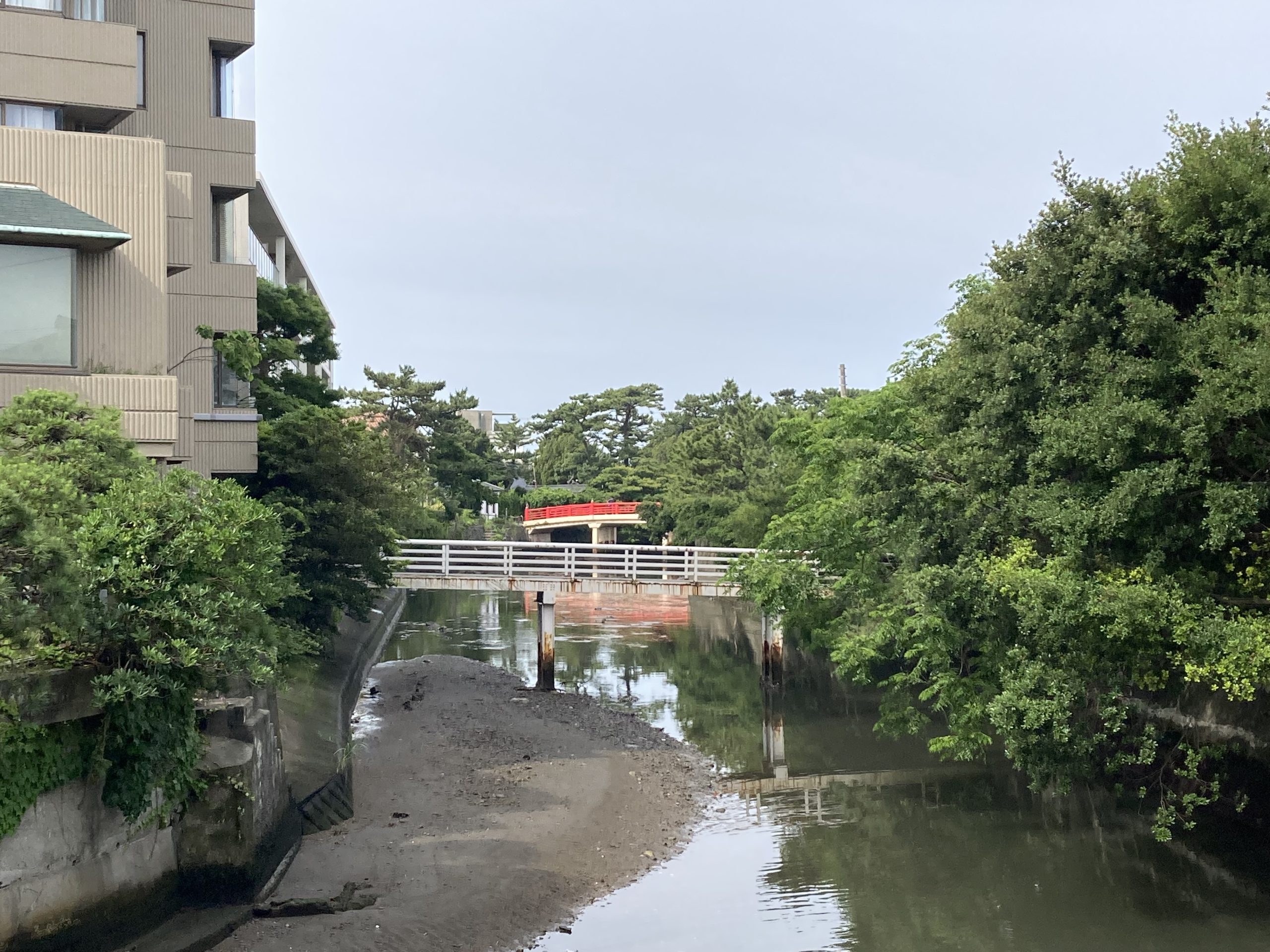 朝の森戸海岸