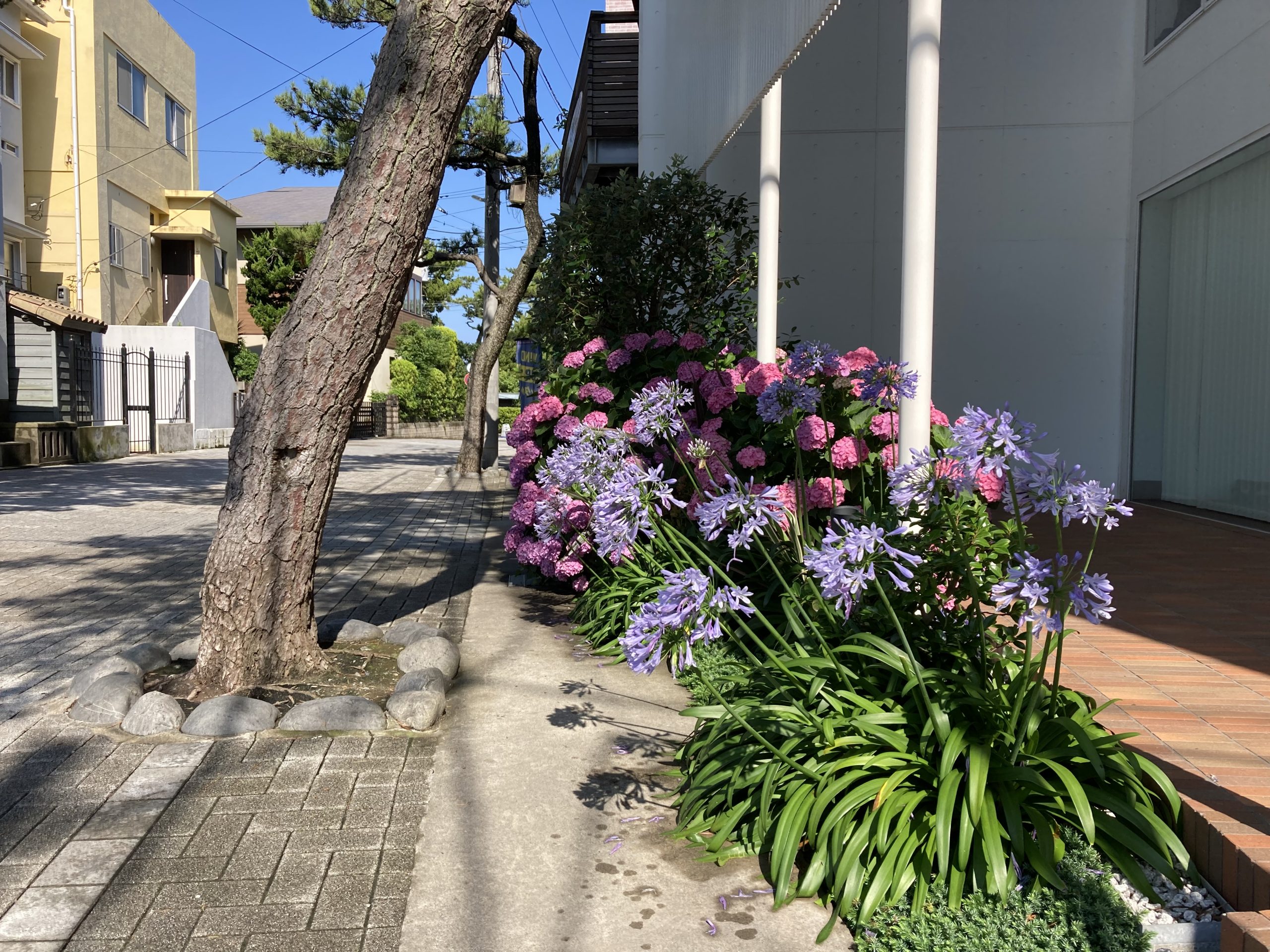 朝の森戸海岸