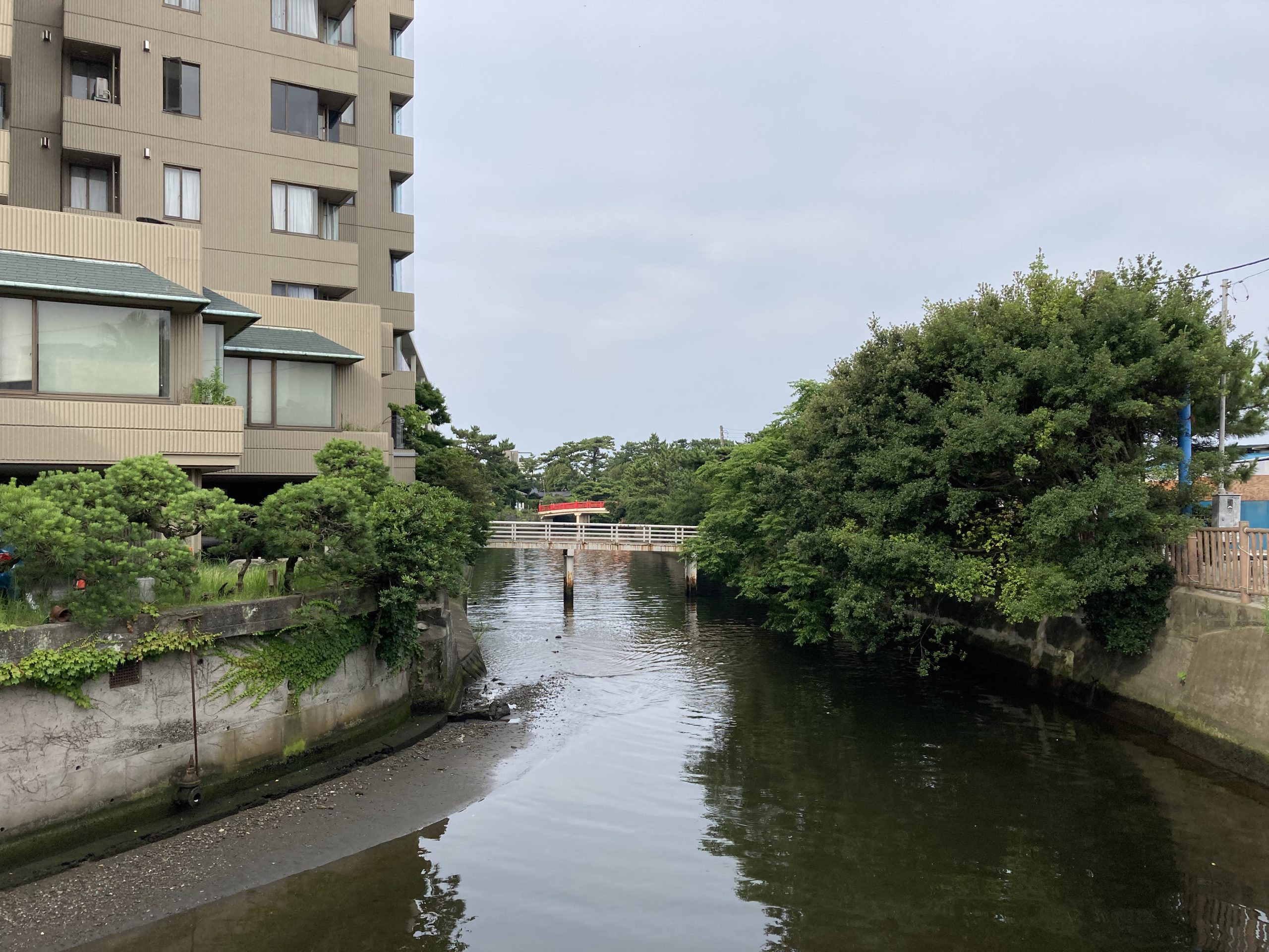 朝の森戸海岸