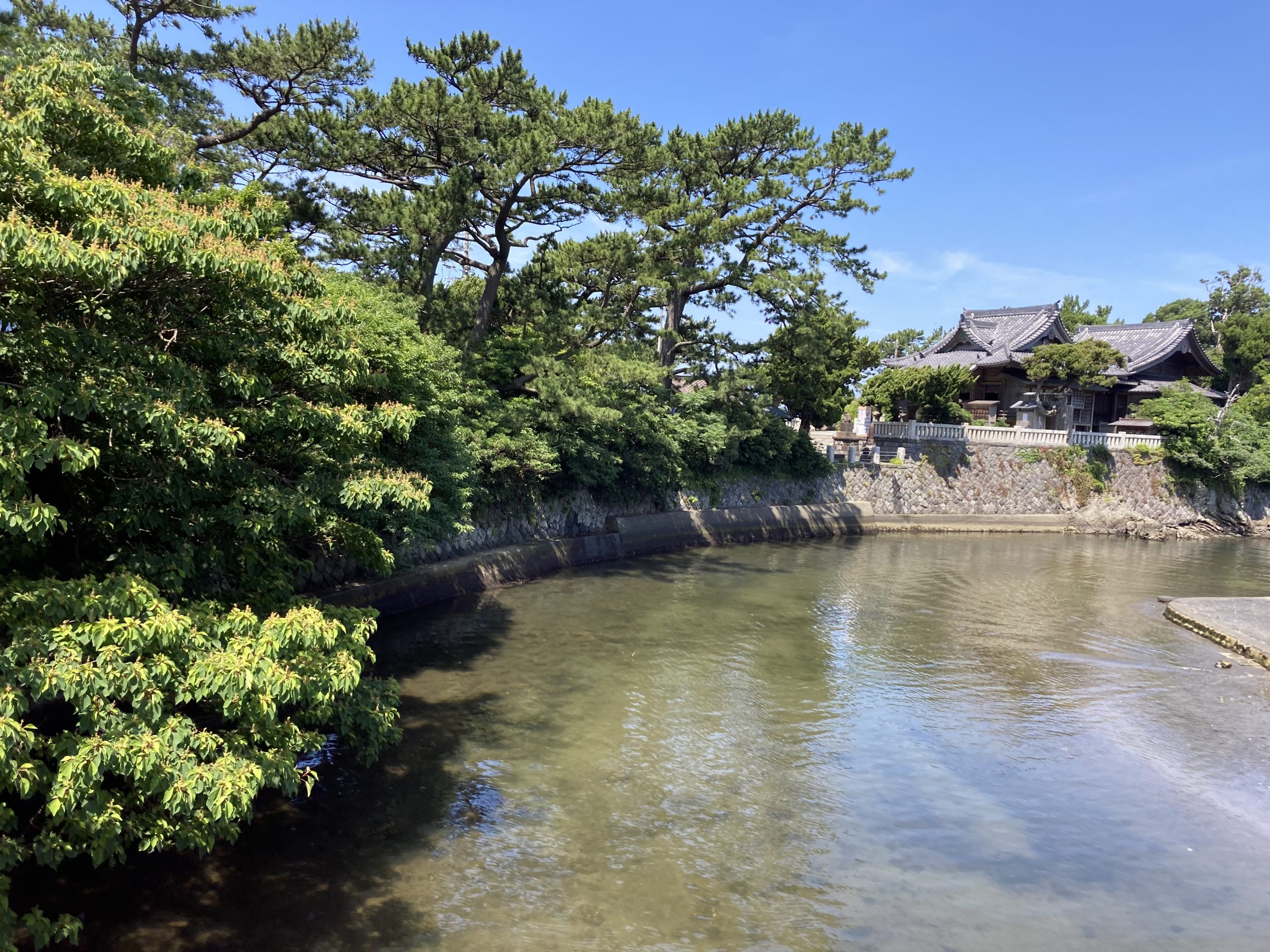 朝の森戸海岸