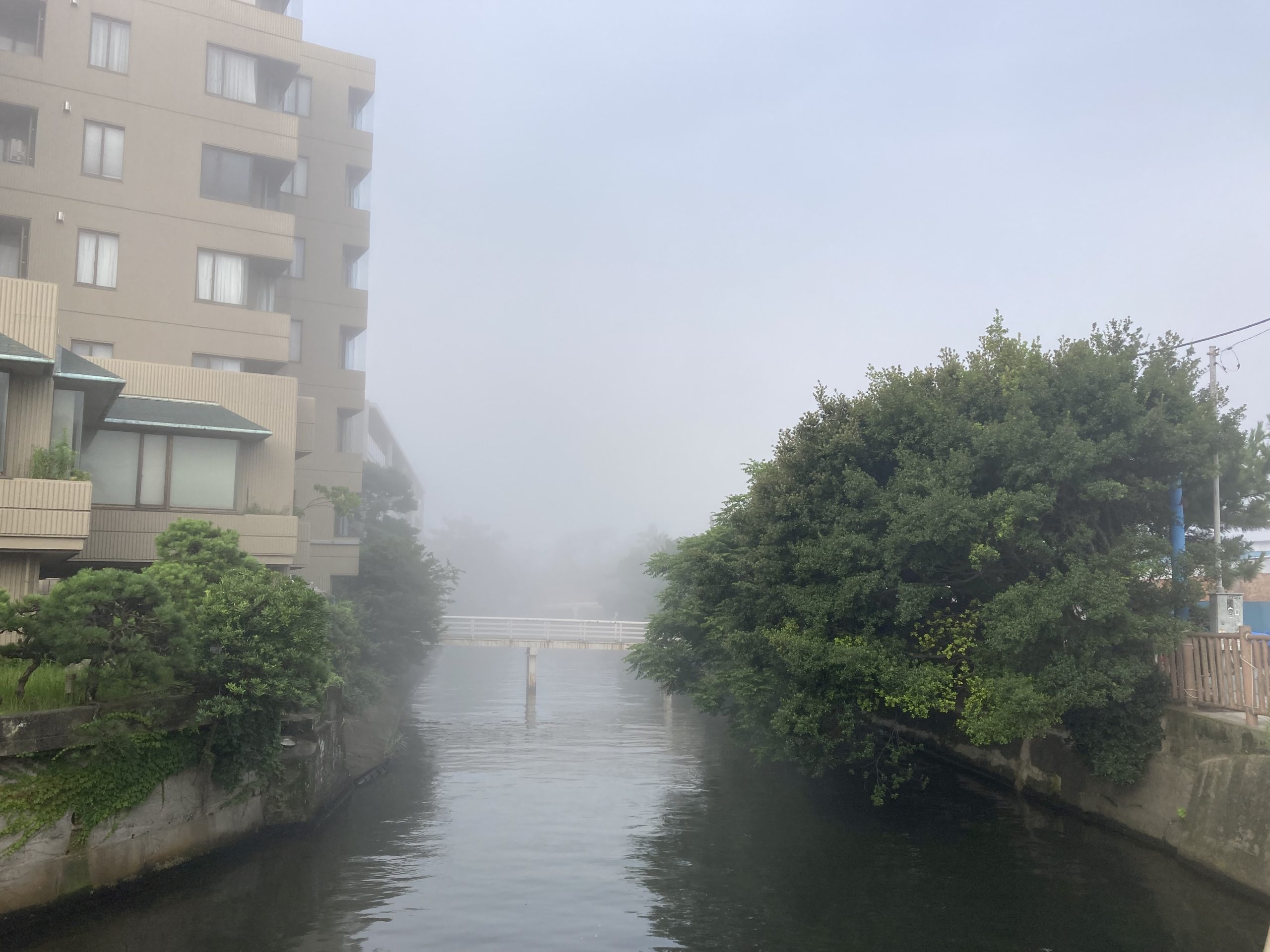 朝の森戸海岸