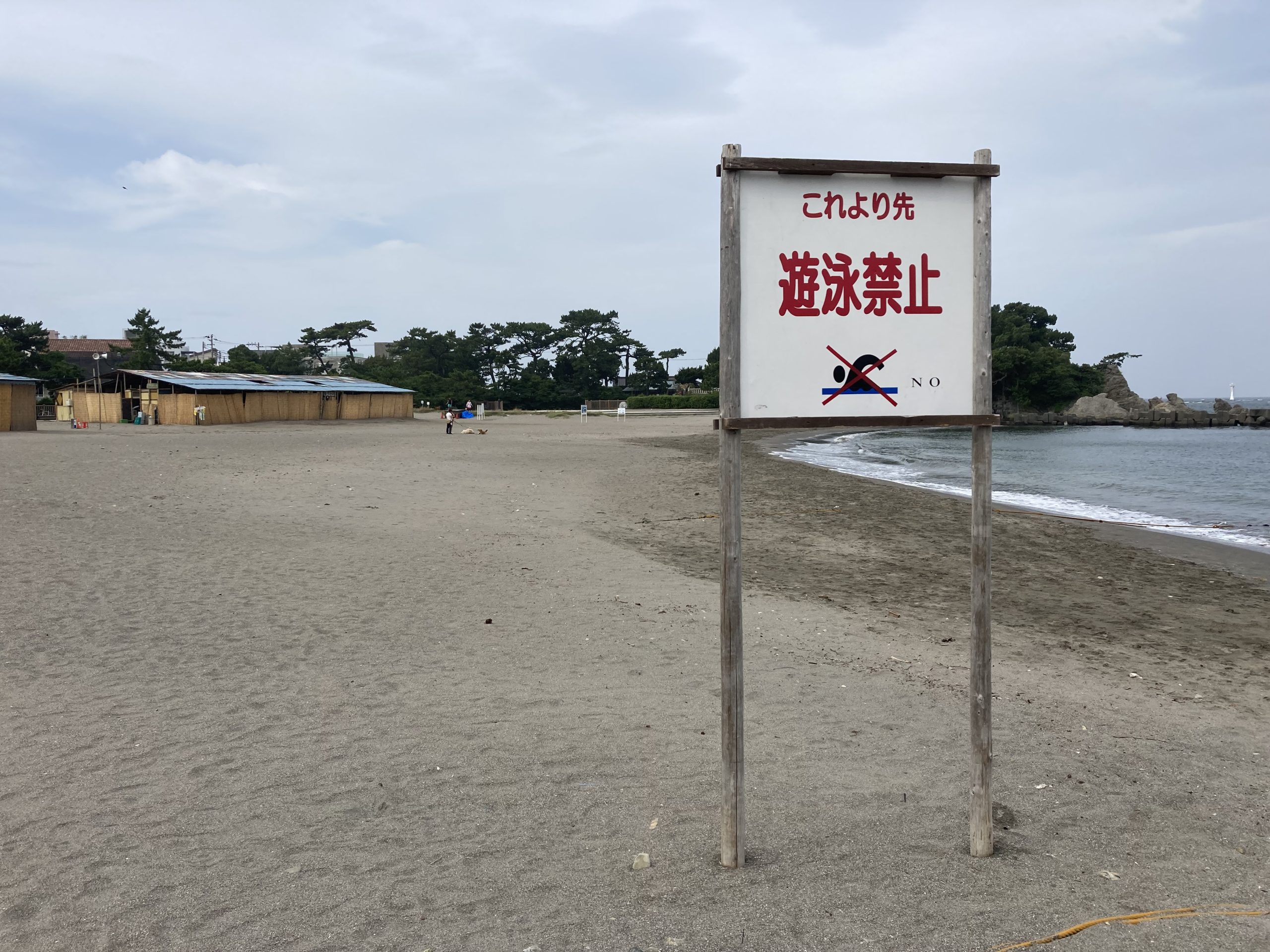 朝の森戸海岸