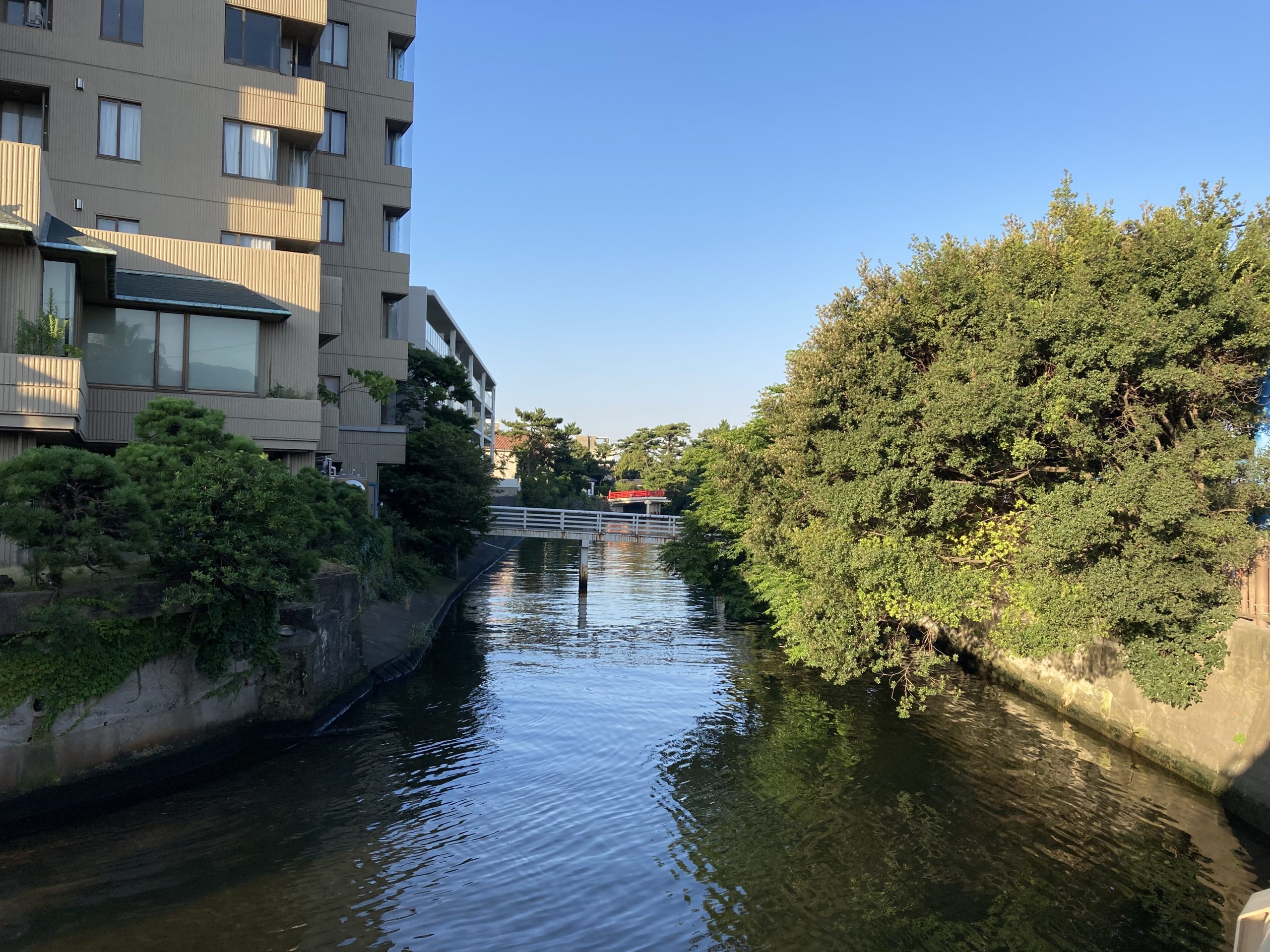 朝の森戸海岸