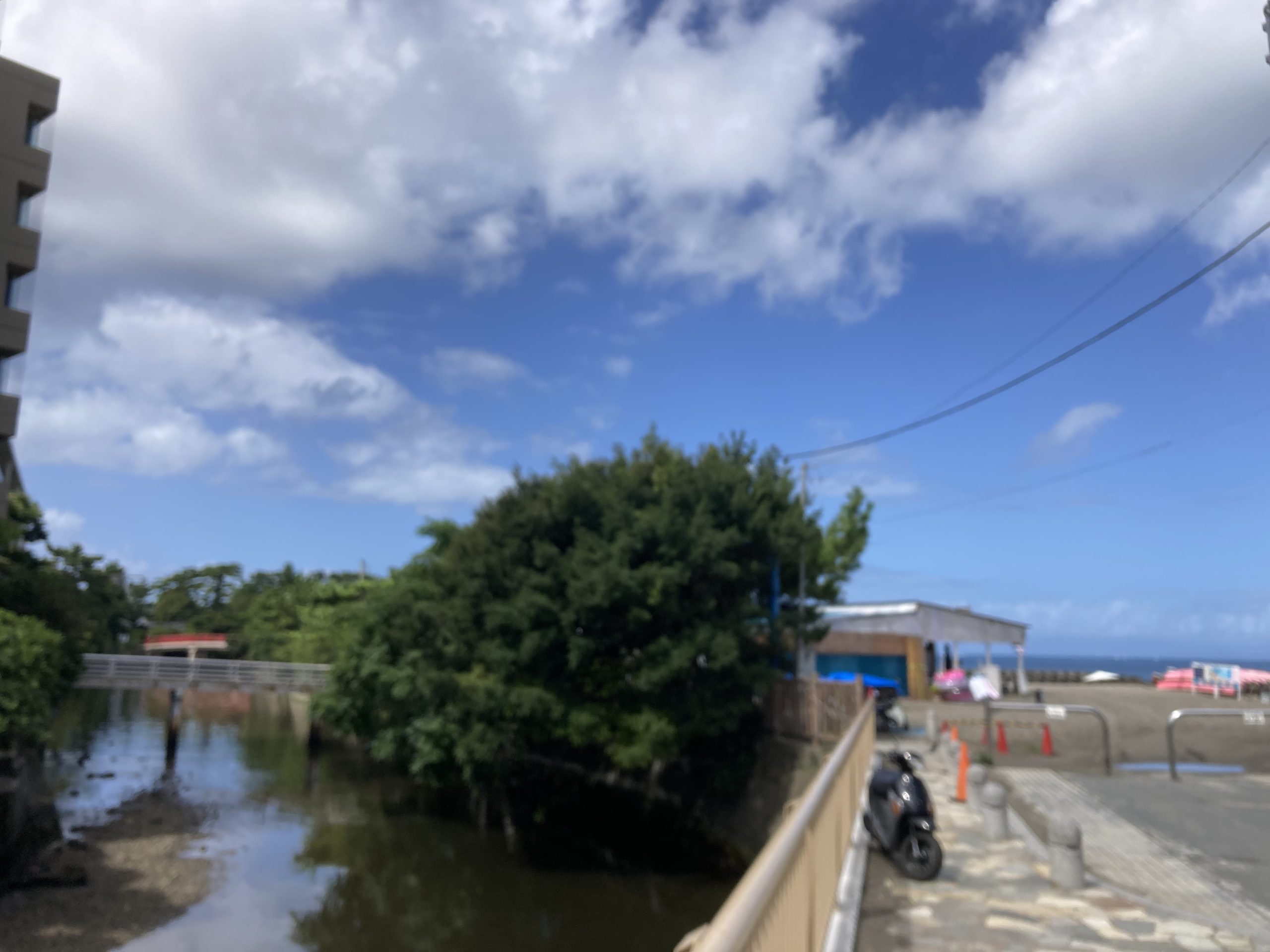 朝の森戸海岸