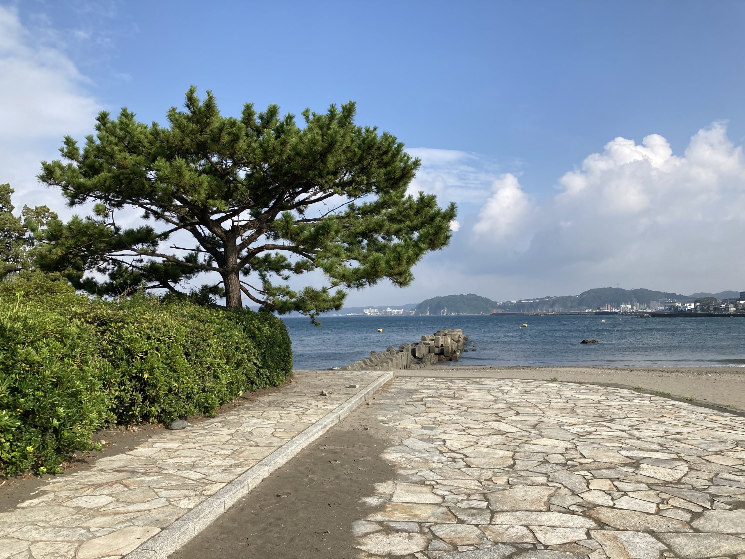 朝の森戸海岸