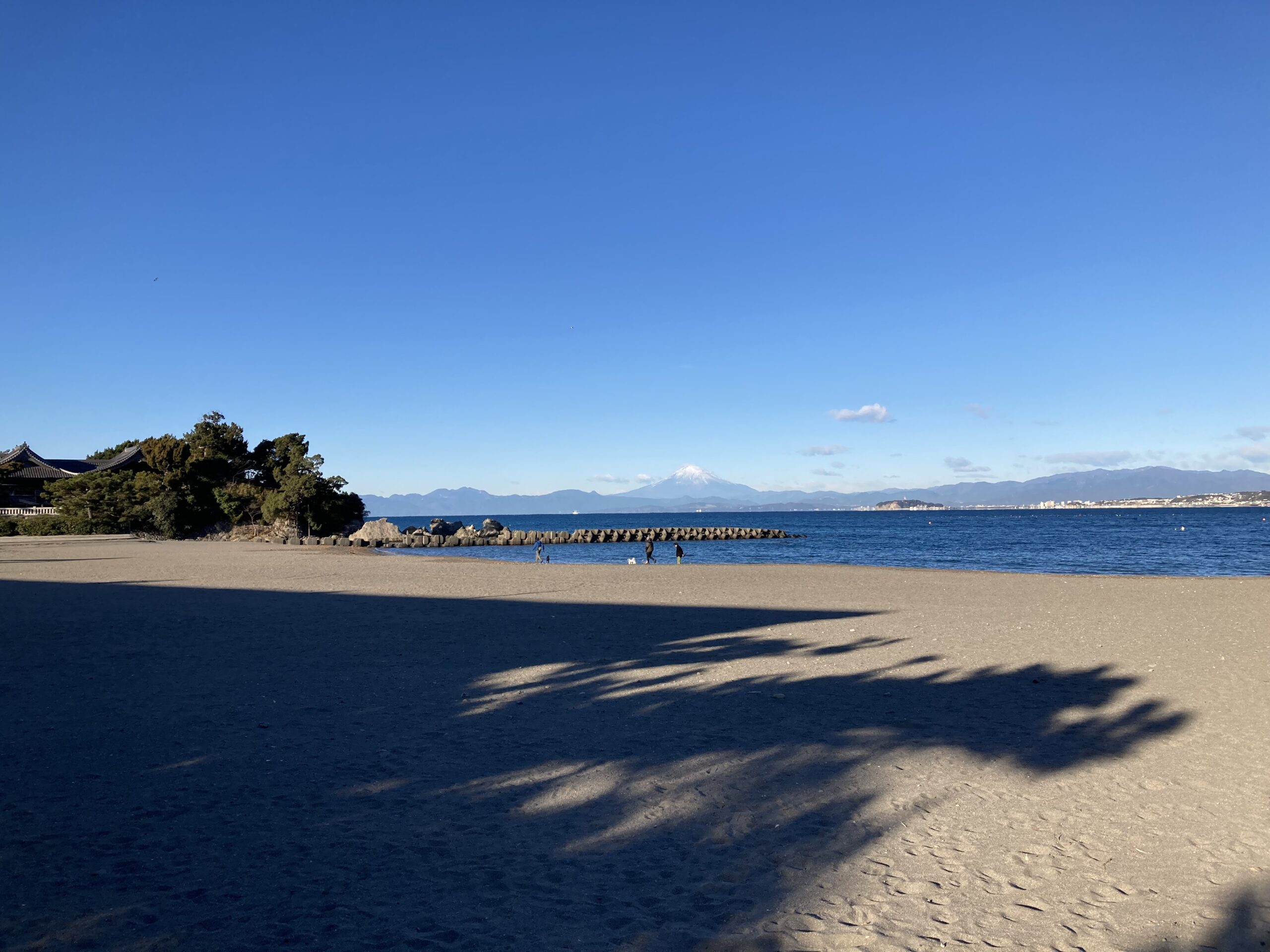 朝の森戸海岸　1月16日