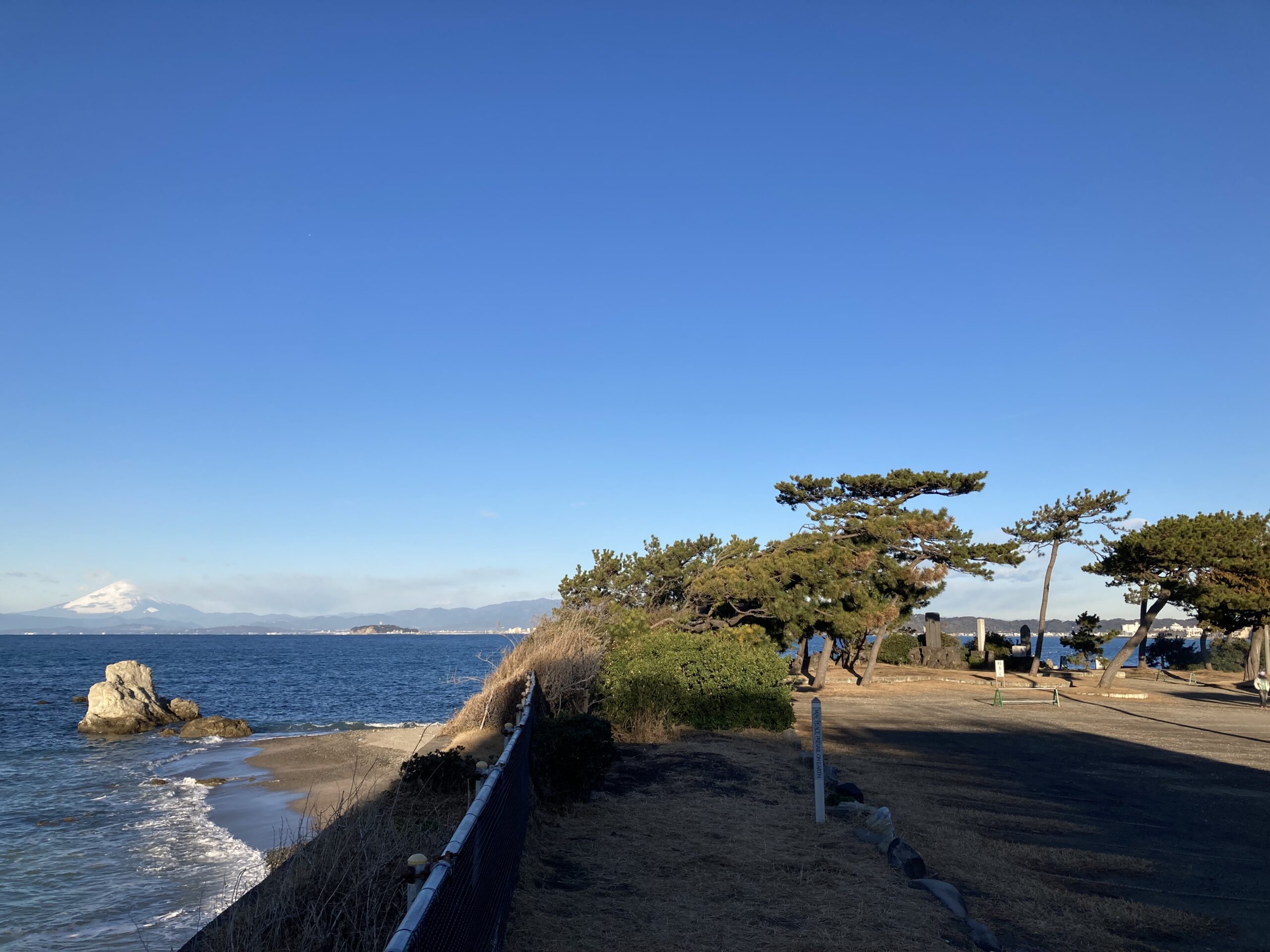 森戸海岸の朝 1月24日