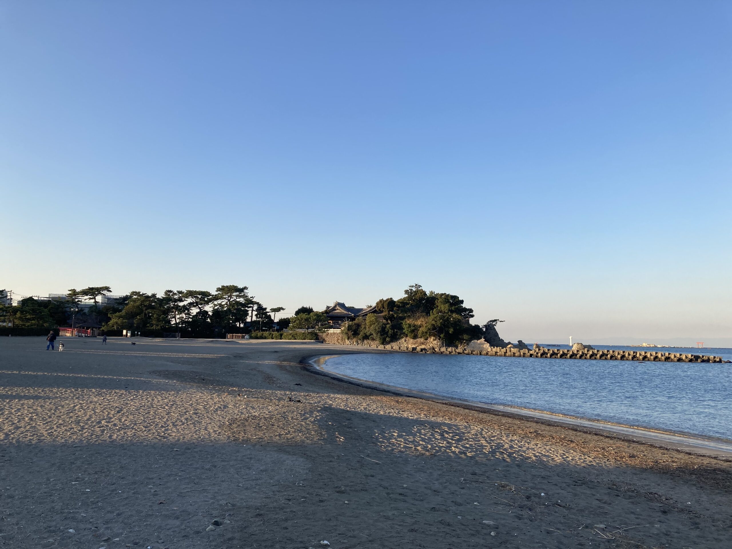 朝の森戸海岸　1月30日