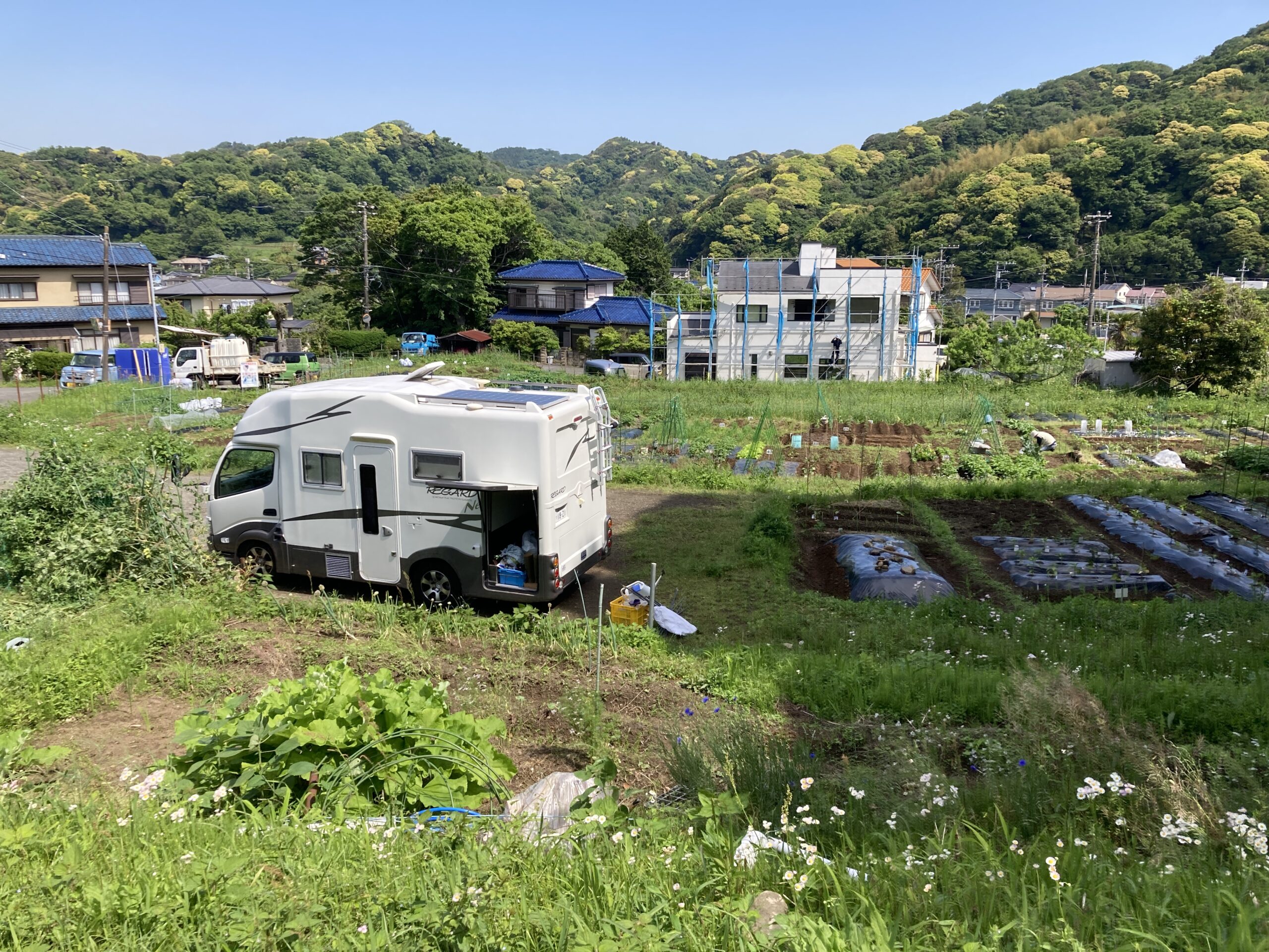 5月14日の風占い