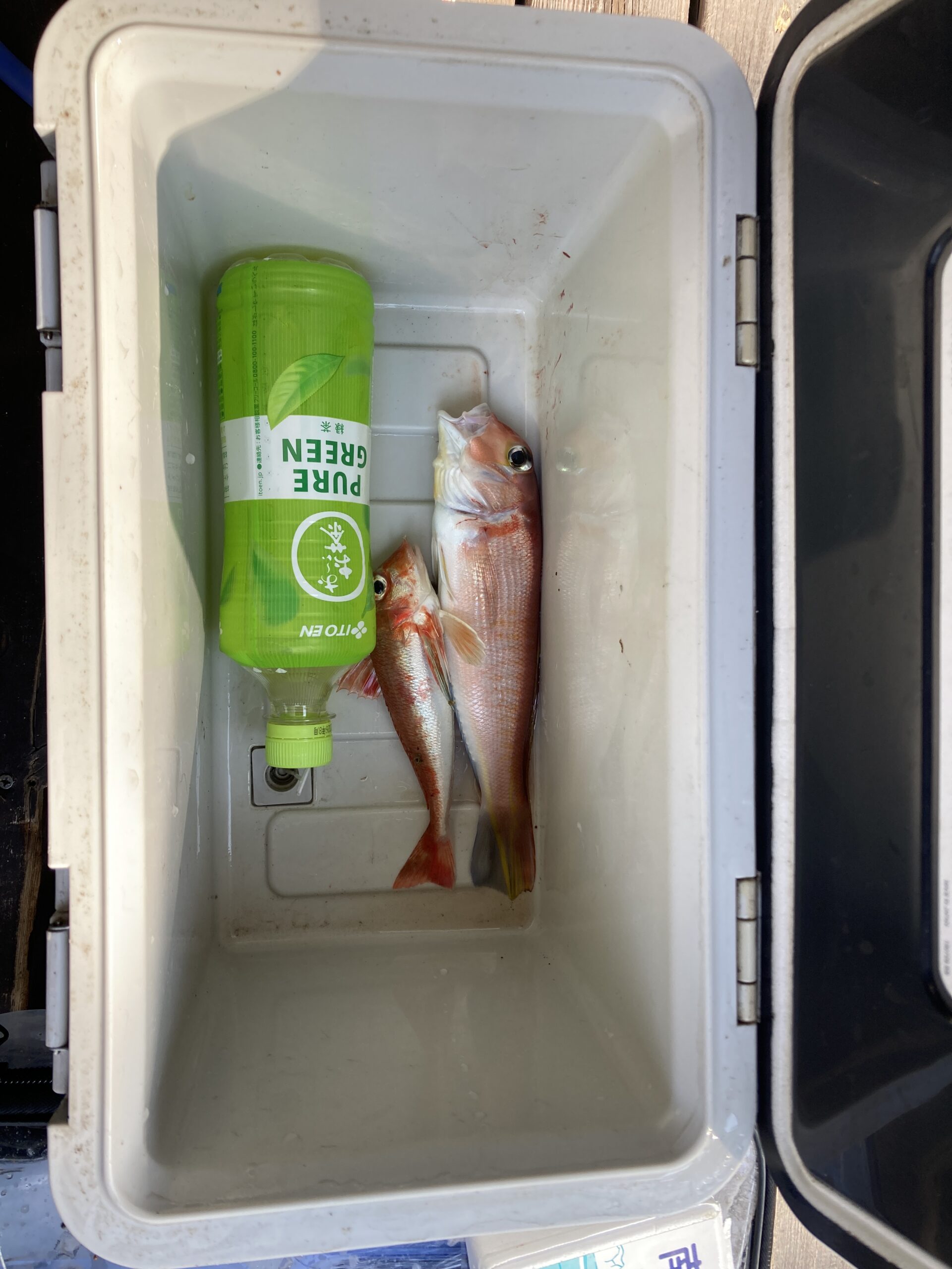 2月17日の風占い